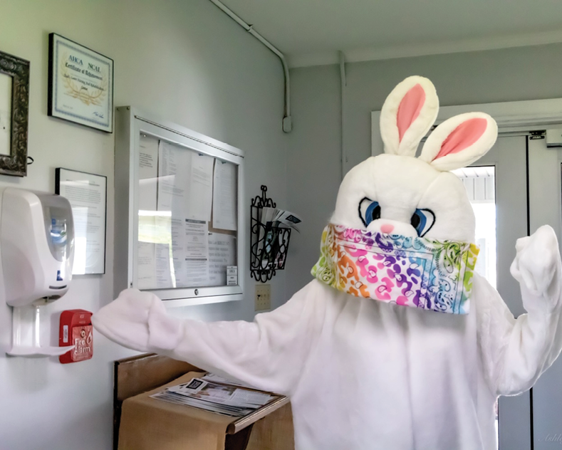 person dressed as a white easter bunny wearing a facemask during quarantine