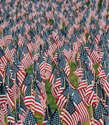 thousands of American flags posted on a large green lawn