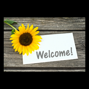 single sunflower laying on wood plank with welcome note