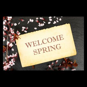 welcome spring image from Canva with cherry blossoms
